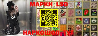 apvp Будённовск