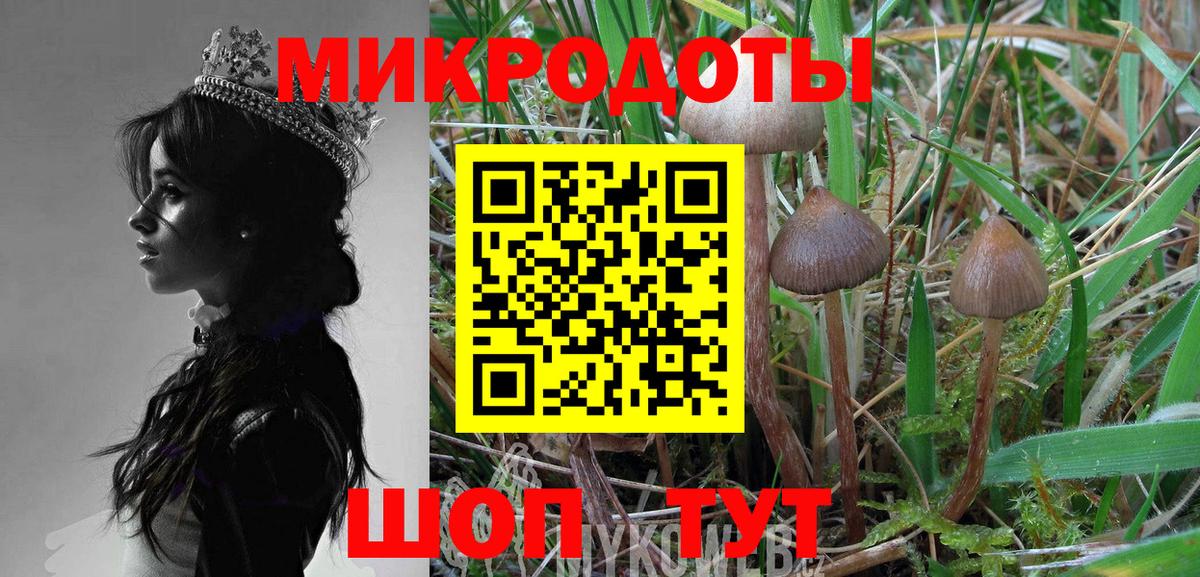 Псилоцибиновые грибы прущие грибы Скопин